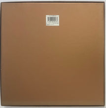 Load image into Gallery viewer, Megadeth - Skin O' My Teeth 10" Single (Ltd Boxset)