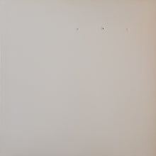 Load image into Gallery viewer, Janek Schaefer / Pan•American – Split Series #3 12" Single (Numbered)