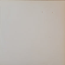 Load image into Gallery viewer, Ad Vanz Vs Gescom / Foehn – Split Series #2 12" Single (Numbered Promo)