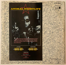 Load image into Gallery viewer, Animal Nightlife - Native Boy 12" Single
