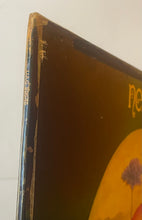 Load image into Gallery viewer, Nektar - Remember The Future Lp
