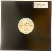 Load image into Gallery viewer, Various - Arista Funksters 12" Single
