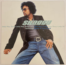 Load image into Gallery viewer, Shaggy Featuring Brian &amp; Tony Gold - Hey Sexy Lady 12" Single
