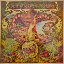 Load image into Gallery viewer, Spyro Gyra - Morning Dance Lp
