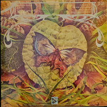 Load image into Gallery viewer, Spyro Gyra - Morning Dance Lp
