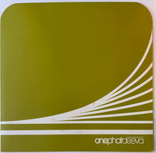 Load image into Gallery viewer, AFTC - All Fall Down 12" Single
