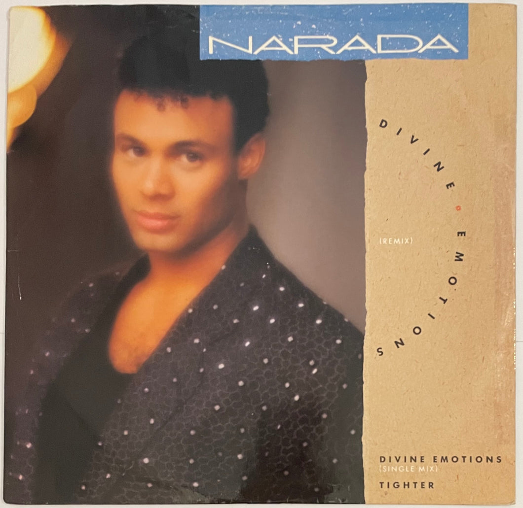 Narada - Divine Emotions (Remix) 12