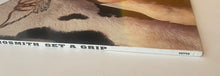 Load image into Gallery viewer, Aerosmith - Get A Grip Lp

