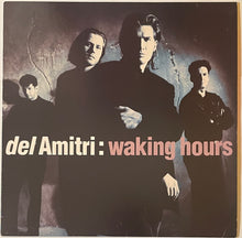 Load image into Gallery viewer, Del Amitri - Waking Hours Lp

