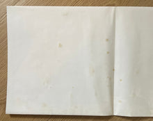 Load image into Gallery viewer, The Dogs D'Amour - Empty World 12" Box Set (Ltd, Numbered + Poster)
