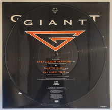 Load image into Gallery viewer, Giant - Stay (Picture Disc) 12&quot; Single
