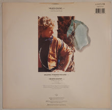 Load image into Gallery viewer, Robert Plant - Heaven Knows 12&quot; Single
