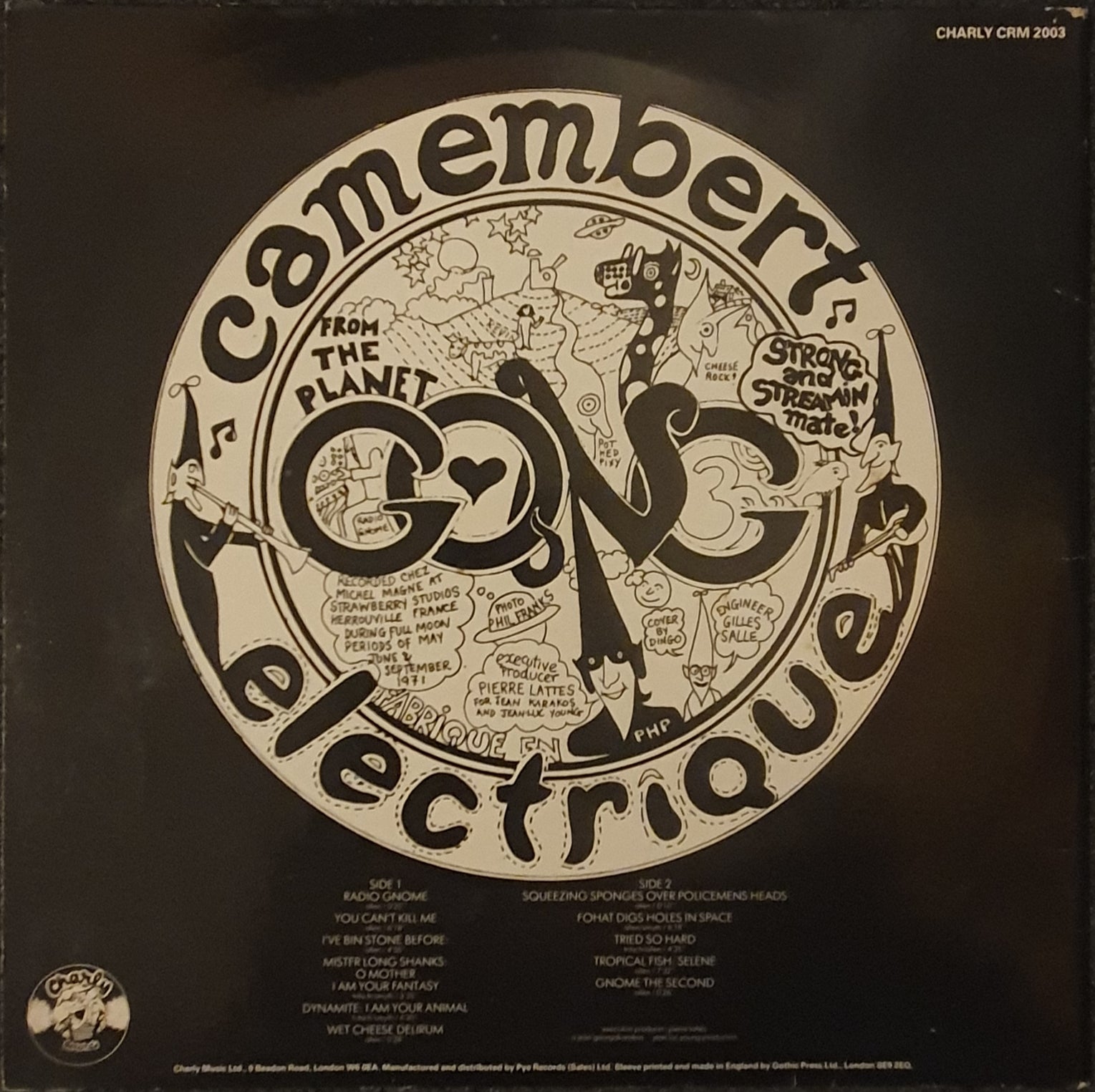 Gong - Camembert Electrique Lp