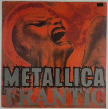 Load image into Gallery viewer, Metallica - Frantic 12&quot; Single
