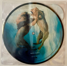 Load image into Gallery viewer, Biffy Clyro - Mountains 7" Single (Picture Disc)
