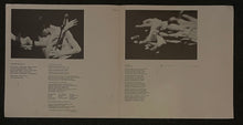 Load image into Gallery viewer, Patti Smith Group - Easter Lp
