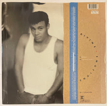 Load image into Gallery viewer, Narada - Divine Emotions (Remix) 12" Single
