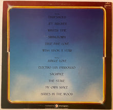 Load image into Gallery viewer, Steve Miller Band - Book Of Dreams Lp
