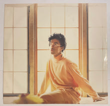 Load image into Gallery viewer, Prince - Sign "O" The Times Lp
