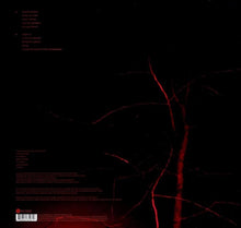 Load image into Gallery viewer, Anathema - Hindsight Lp (Half Speed Master)
