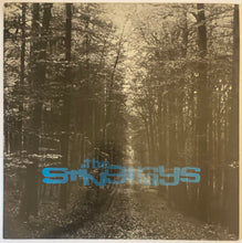 Load image into Gallery viewer, The Sting-Rays - Behind The Beyond 12" Single
