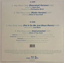 Load image into Gallery viewer, Shaggy Featuring Brian &amp; Tony Gold - Hey Sexy Lady 12" Single

