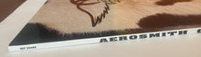 Load image into Gallery viewer, Aerosmith - Get A Grip Lp
