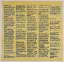 Load image into Gallery viewer, Hilary Hahn &amp; Hauschka – Silfra Lp
