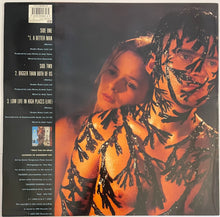Load image into Gallery viewer, Thunder - A Better Man 12&quot; Single (Includes Calender Poster)
