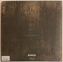 Load image into Gallery viewer, Blackfield - Blackfield Lp + 12&quot; (Ltd Numbered, Reissue)
