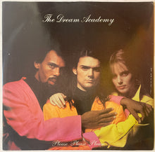 Load image into Gallery viewer, The Dream Academy - Please Please Please 12" Single
