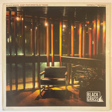 Load image into Gallery viewer, Black Grass - Easy 12" Single
