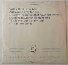 Load image into Gallery viewer, Spandau Ballet - True 12" Single
