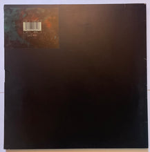 Load image into Gallery viewer, Hothouse Flowers - Give It Up (Live) 12" Single (Ltd Collectors Box + Poster)
