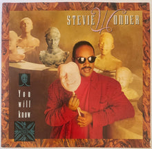 Load image into Gallery viewer, Stevie Wonder - You Will Know 12" Single
