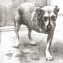 Load image into Gallery viewer, Alice In Chains - Alice In Chains Lp (30th Anniversary Ltd Yellow)
