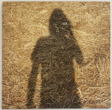 Load image into Gallery viewer, Steven Wilson – Unreleased Electronic Music Lp
