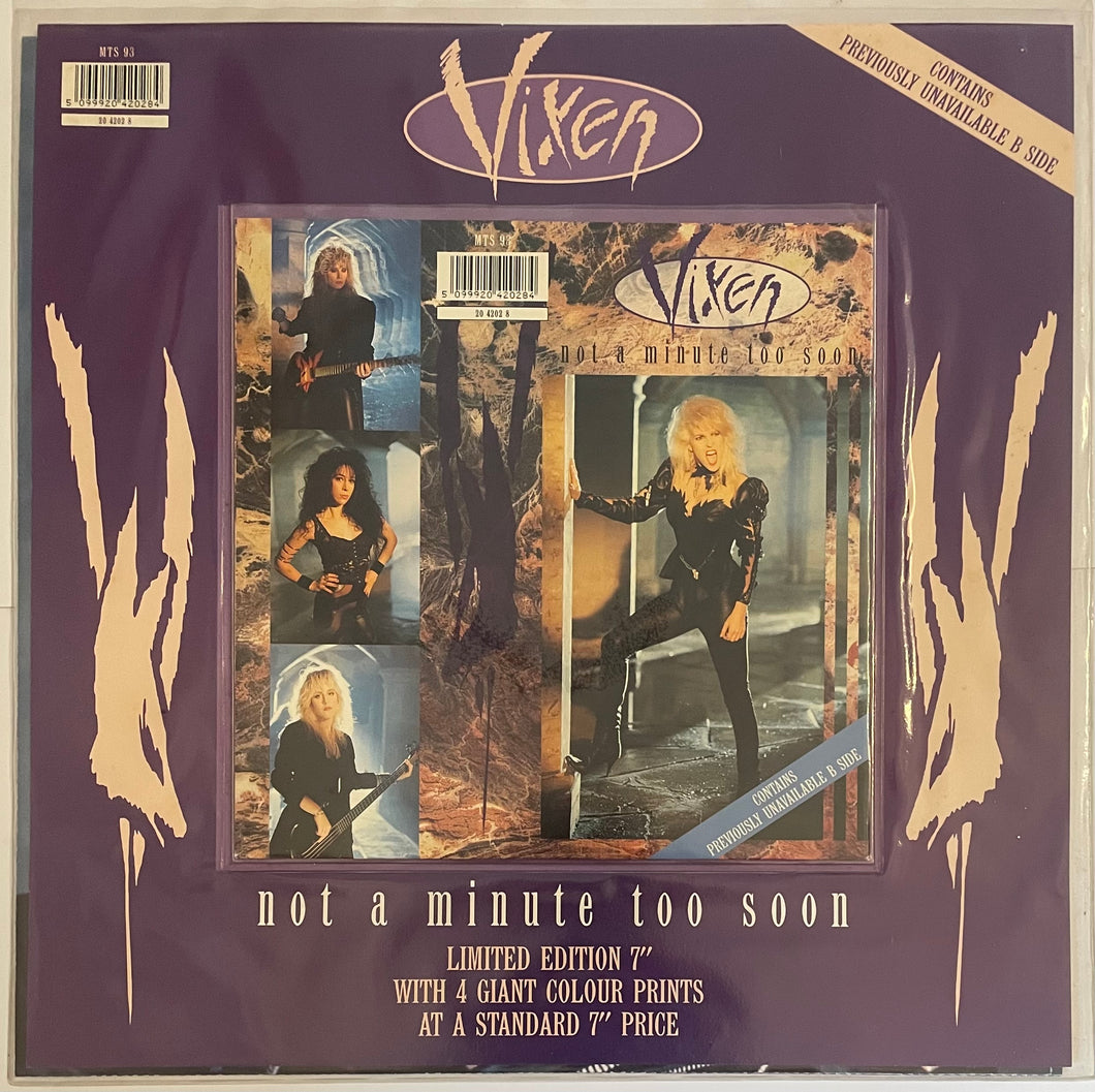 Vixen - Not A Minute Too Soon 7