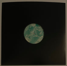 Load image into Gallery viewer, Daryl Stay - An Audience Of One 12" Single
