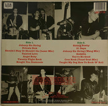 Load image into Gallery viewer, The Tailgators - The Tailgators Lp
