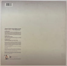Load image into Gallery viewer, Craig David Featuring Sting - Rise &amp; Fall - Remixes 12" Single
