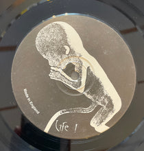 Load image into Gallery viewer, Antisect - In Darkness, There Is No Choice Lp (Reissue)
