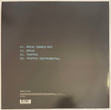 Load image into Gallery viewer, Dizzee Rascal - Dream / Trapped 12" Single
