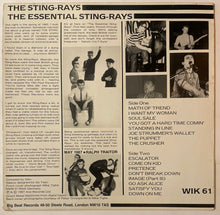 Load image into Gallery viewer, The Sting-Rays – 'The Essential (Early) Sting-Rays Recordings' 1982 To 1985 Lp
