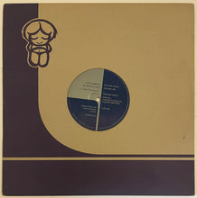 Load image into Gallery viewer, Tutto Matto - Do What You Want 12&quot; Single
