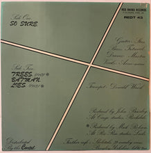 Load image into Gallery viewer, Skeletal Family - So Sure 12" Single
