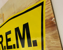 Load image into Gallery viewer, R.E.M - Out Of Time Vinyl Lp
