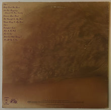 Load image into Gallery viewer, Wild Cherry - Electrified Funk Lp
