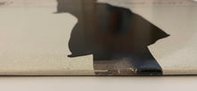 Load image into Gallery viewer, Susumu Yokota - Sound Of Sky Lp
