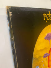Load image into Gallery viewer, Nektar - Remember The Future Lp
